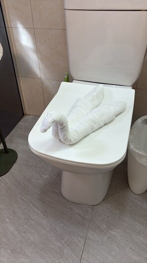 Ducha, secador de pelo, toallas, papel higiénico