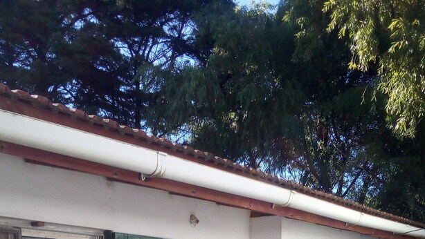 A building with a white exterior, green shutters, and a tiled roof. - Rentals las toninas costa beach (Las Toninas)
