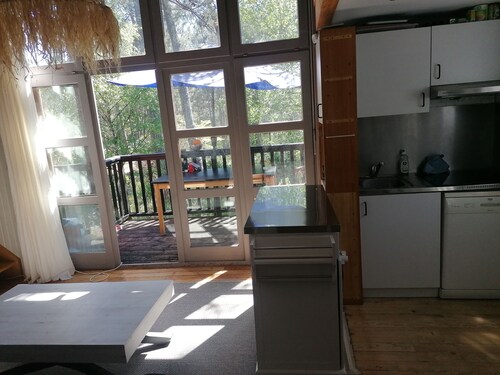 chalet dans les pins