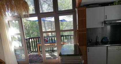 chalet dans les pins