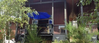 Chalet in the pines