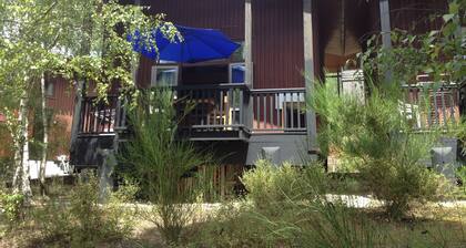 Chalet in the pines