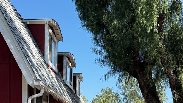 Ein rotes Gebäude mit einem weißen Fenster, einem großen Baum und Außenplätzen.