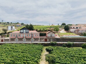 Ein Weinberg mit Rebenreihen, einer Steinmauer und einem Gebäude mit rotem Dach.