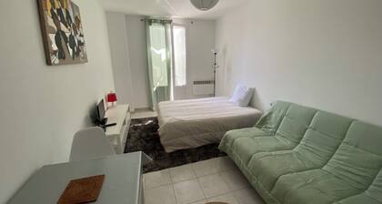 Studio au coeur de la corse.