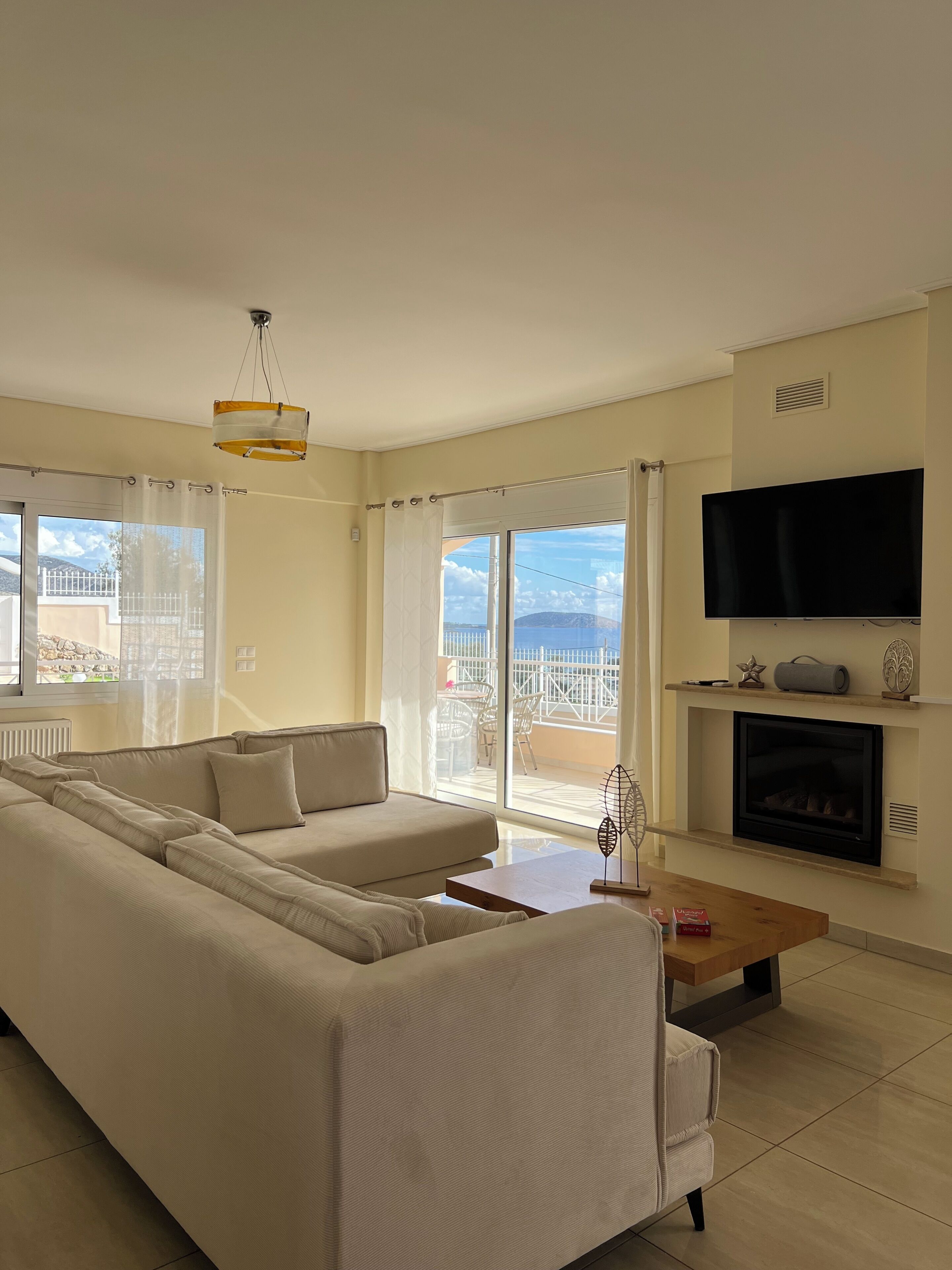 Smart TV, fireplace, books