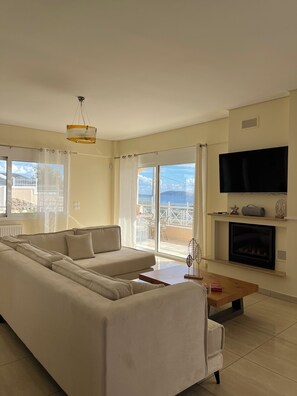 Smart TV, fireplace, books