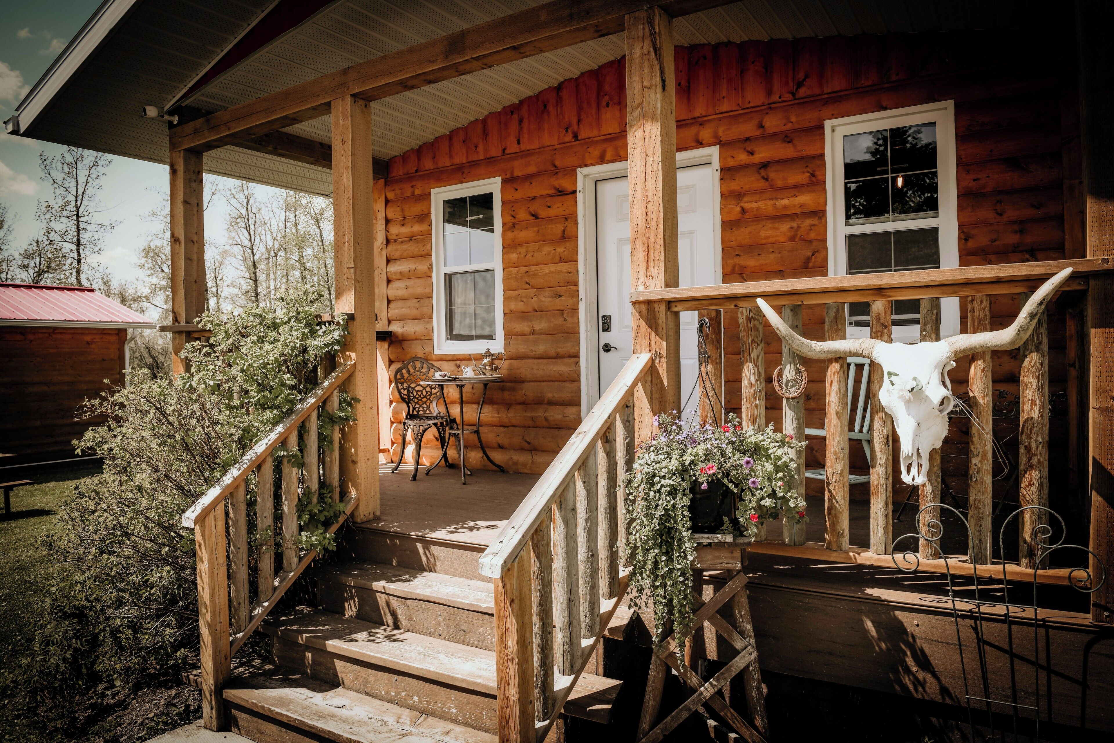 A wooden cabin with a porch, steps, and a large bull skull decoration.