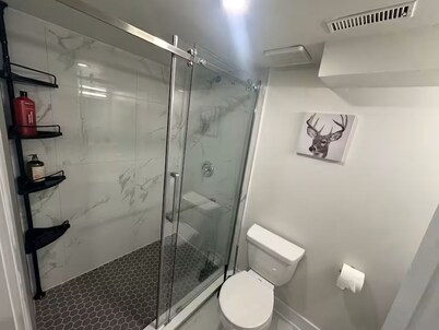 Cozy Basement Studio Suite