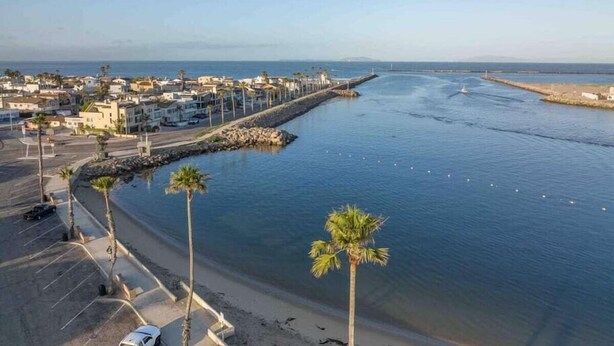 Una zona costera con un puerto deportivo, un paseo marítimo bordeado de palmeras y edificios a lo largo de la orilla.
