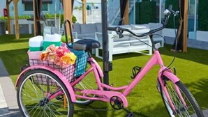 Un vélo rose avec un panier, garé sous une pergola en bois.