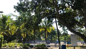 A paved area with trees and a fence.