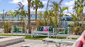 Outdoor seating with a bench and chairs, palm trees, and a blue vehicle in the background. - Unit 112 Studio King Suite - The Pearl Cabana Club (St Pete Beach)