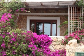 Detalle exterior