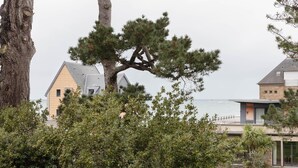 A coastal property with a prominent pine tree, a modern house, and a view of the sea. - Le Doux Rivage - 100 m de la plage (Dinard)