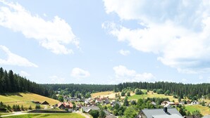 Uklassifisert bilde, 3 av 12, knapp