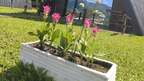 Eine dreieckige Struktur mit einem Glasfenster, ein weißer Pflanztopf mit rosa Blüten und im Hintergrund ein Gebäude mit vertikaler Verkleidung.