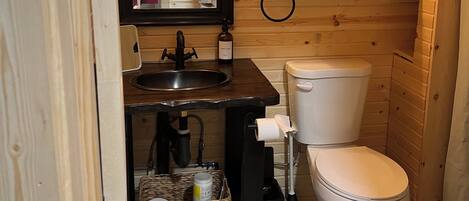 Shower, hair dryer, towels, toilet paper