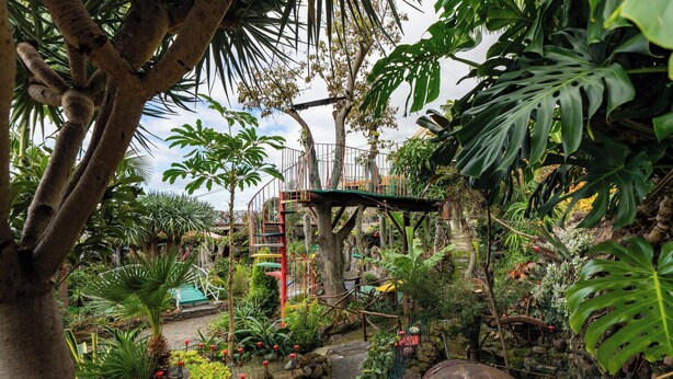 A lush garden with a wooden bridge, a rope ladder, and a variety of tropical plants. - Casa Belo Jardim - Studio with garden (Arco da Calheta)