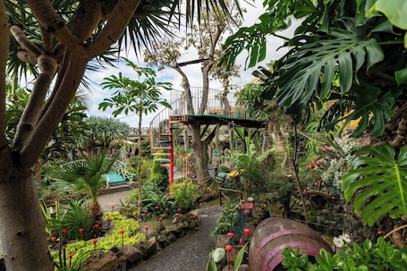 Property grounds. Casa Belo Jardim - Studio with garden