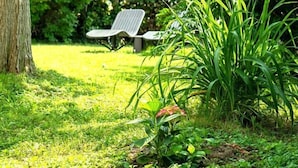 Un giardino alberato con una panchina.