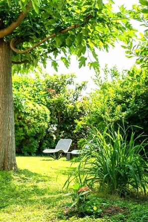 Property grounds - House Venitia 14 persons (AUSSONNE)