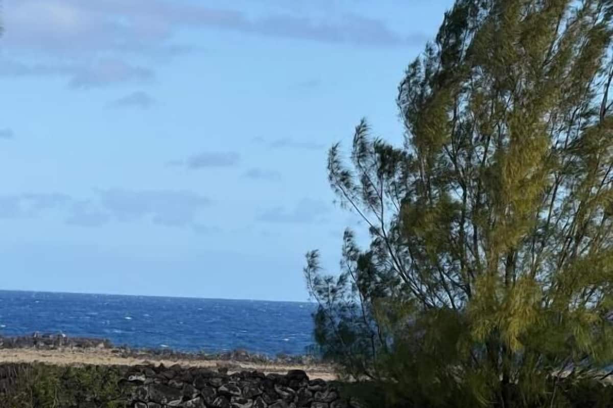 디럭스 텐트, 파티오, 정원 전망 | 기타