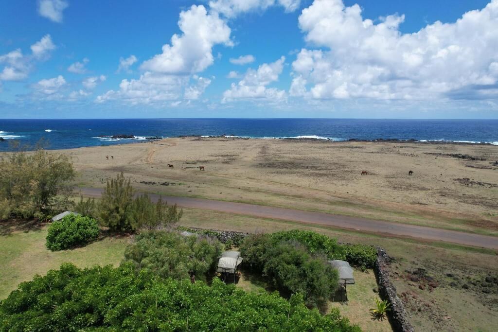 Deluxe Cabin, Patio, Garden View | Beach