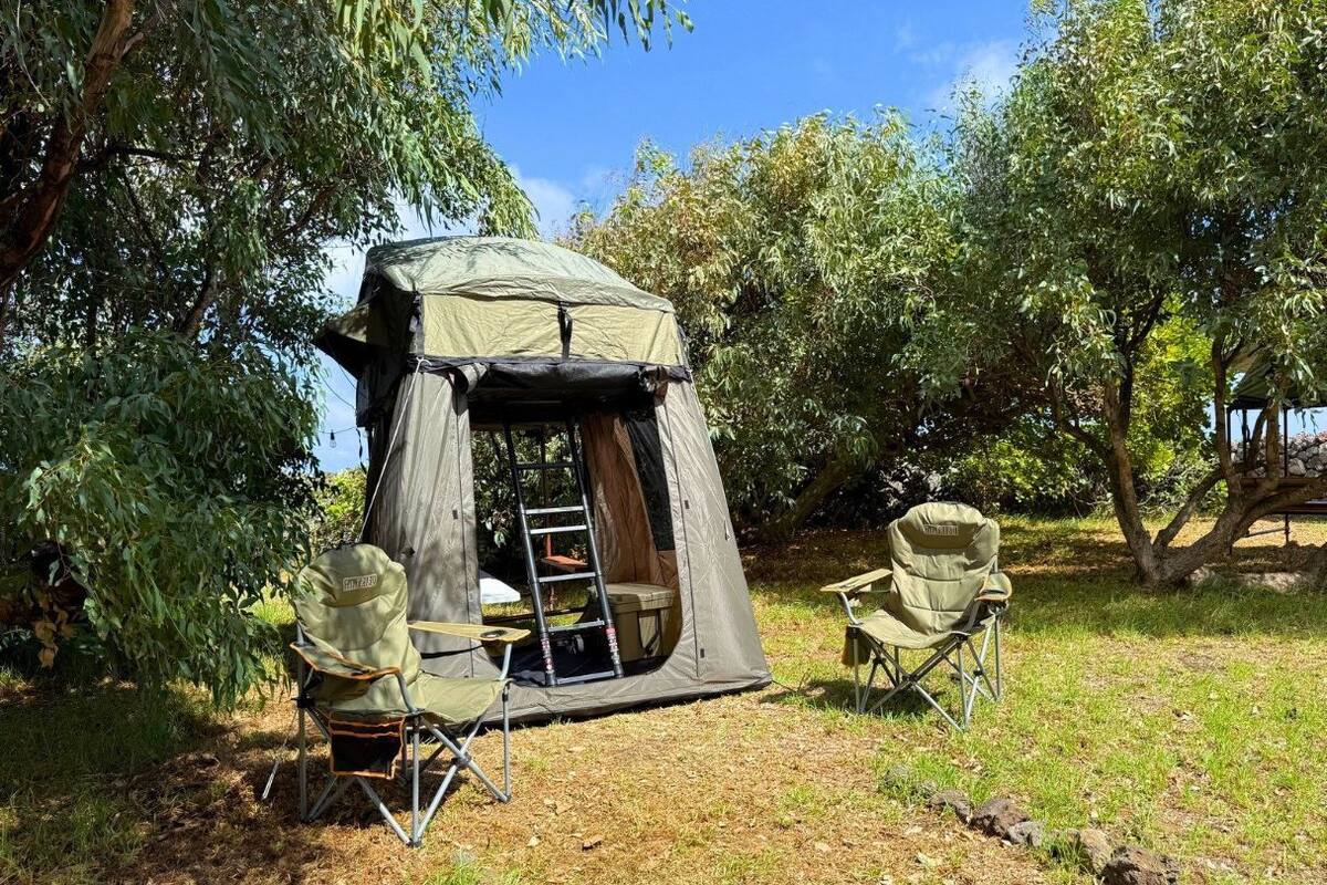 A tent with a ladder, two camping chairs, and a table set up in a grassy area with trees.