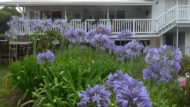A house with a porch, a dining area, and a garden with purple flowers. - Mission Retreat - spacious and peaceful (Kerikeri)