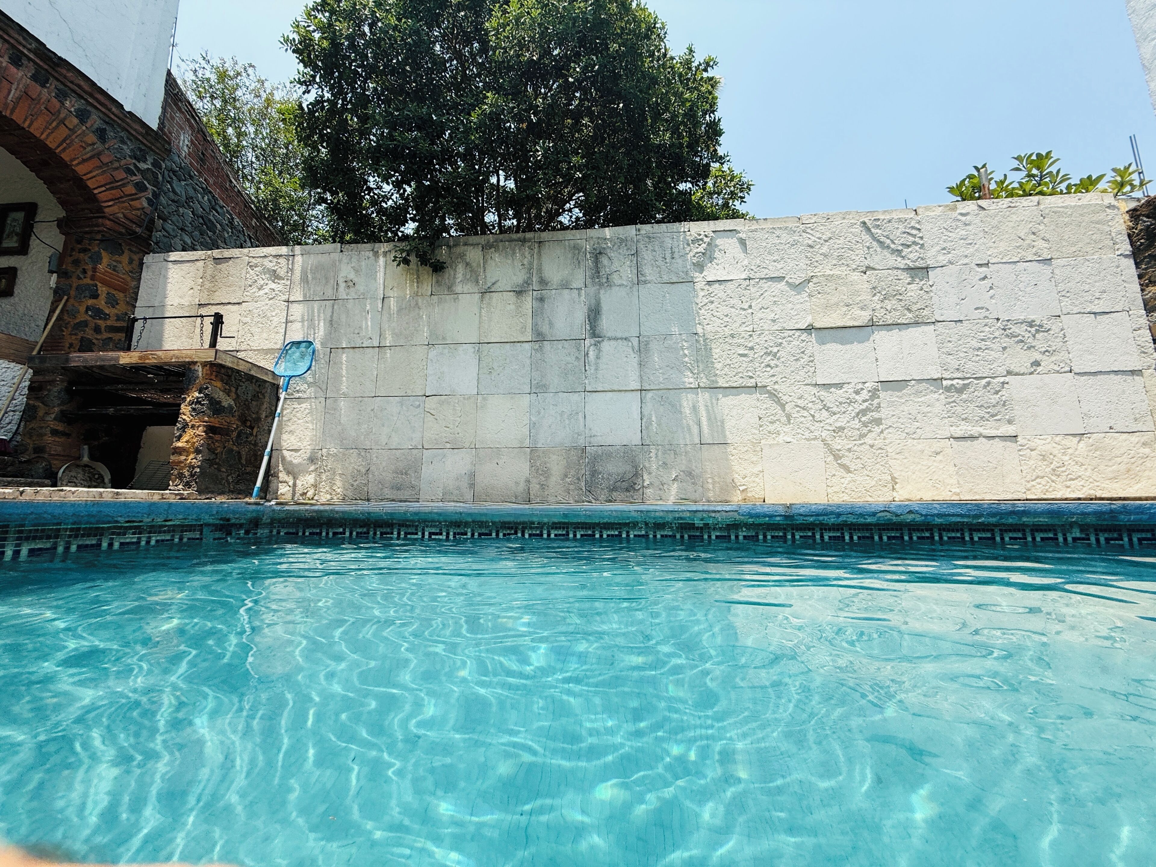 Ein Swimmingpool mit klarem Wasser, eine Steinmauer und ein Baum im Hintergrund.