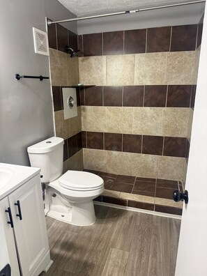 Soap, toilet paper - 3-Bedroom Apartment with WiFi and Convenience (Decatur)