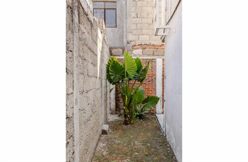 Momoxpan House