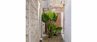 Momoxpan House