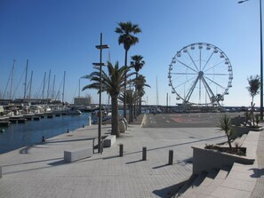 A marina with boats, a Ferris wheel, and a paved walkway with palm trees. - Le gîte du port - CANET-EN-ROUSSILLON (CANET-EN-ROUSSILLON)