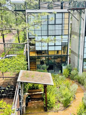 Property grounds - Nature / Safe / 15min downtown (Jesús del Monte)