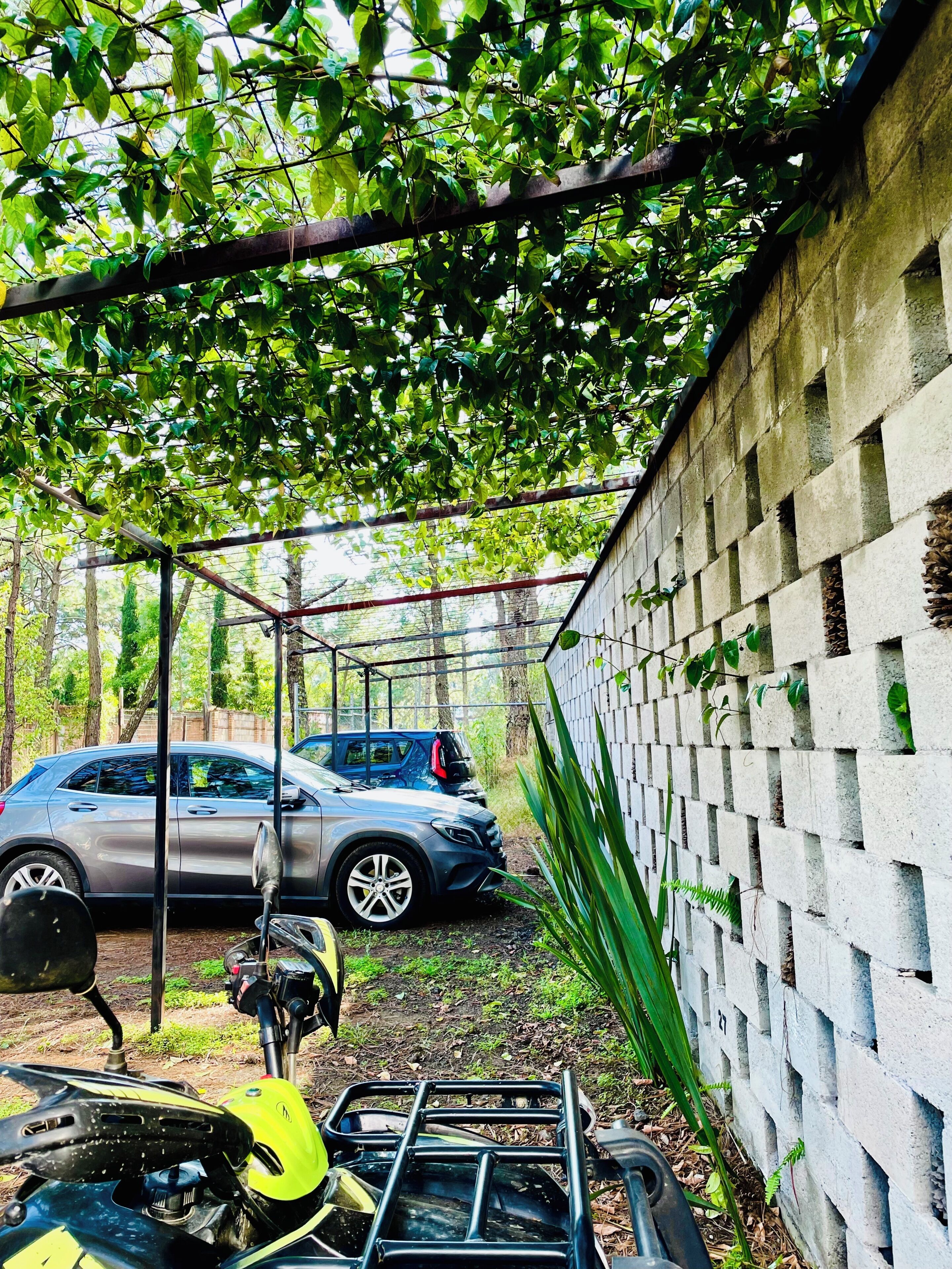 Un vehículo estacionado bajo un árbol, una pared de concreto y una estructura metálica.