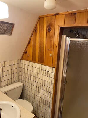 Hair dryer, towels, soap, toilet paper - Charming A-Frame backing up to Green Mountain National Forest with sauna (Dover)