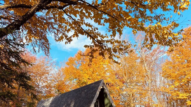 Une cabane dotée d’un porche, entourée du feuillage automnal.