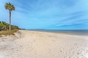 Ein Sandstrand mit einer Palme und Blick aufs Meer.