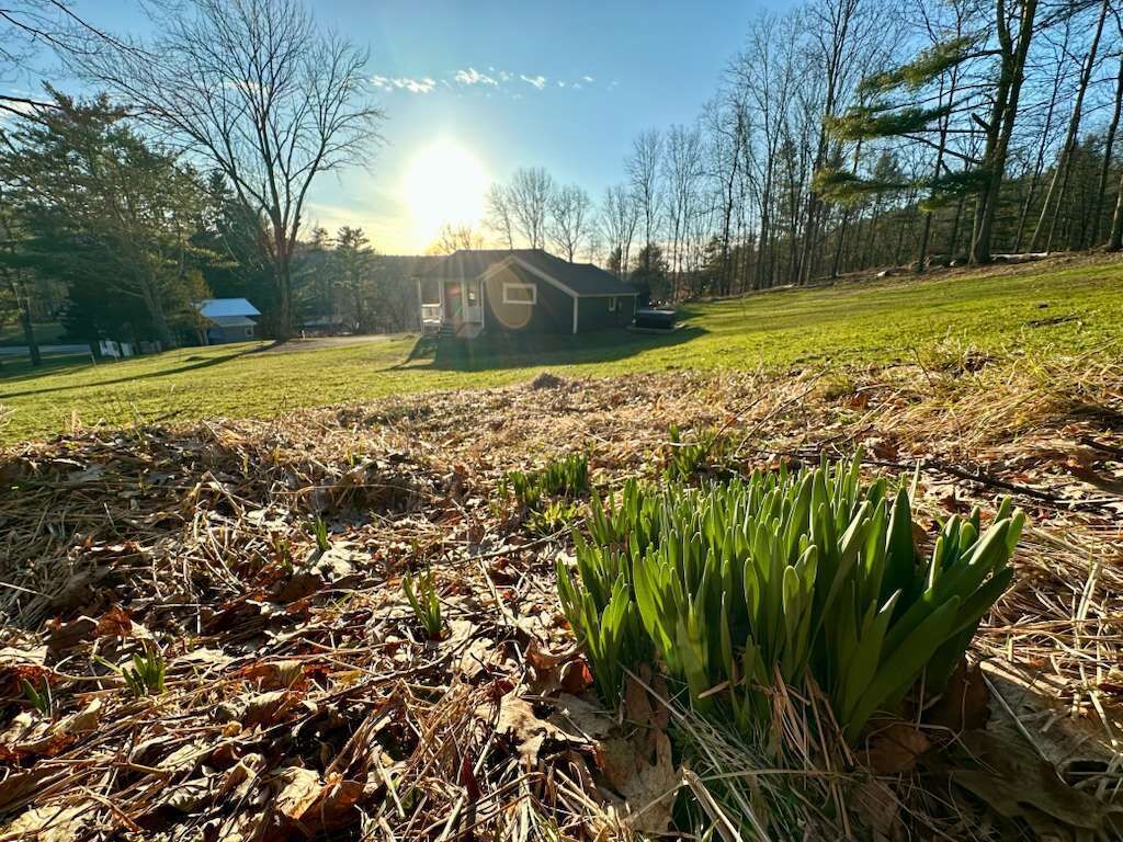 Terrain de l’hébergement 