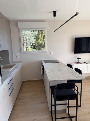 Private kitchen - Charming 2-room apartment on the heights of Nice (Nice)