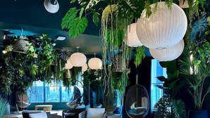 A modern lounge area with hanging paper lanterns, comfortable seating, and lush indoor plants. - Lux Studio on 36th floor, Rooftop Pool, Prime Area (Miami)