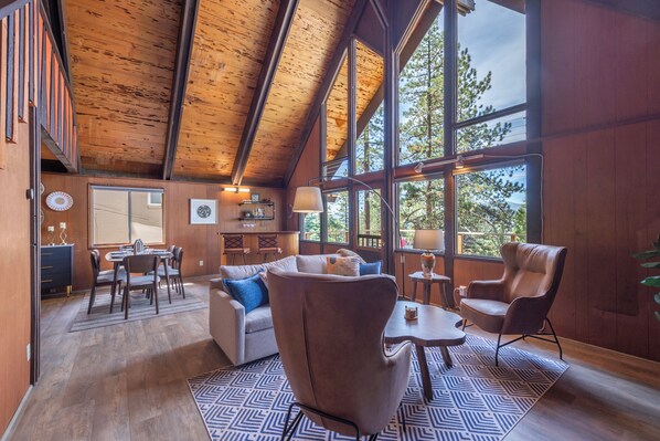 Smart TV, fireplace, books