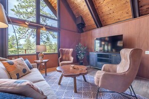 Smart TV, fireplace, books