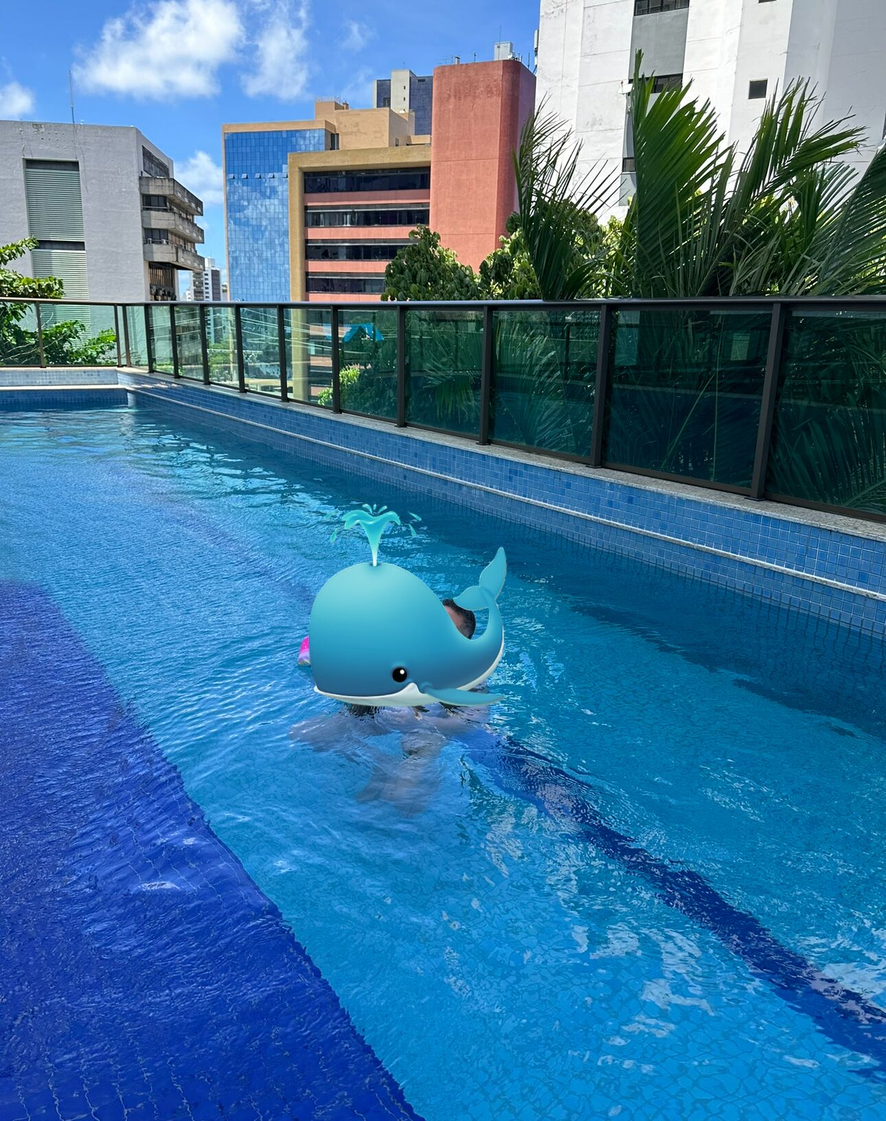 Piscine extérieure