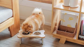 Habitació bàsica, 1 dormitori (Yangyang Stay)