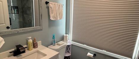 A bathroom with a white vanity, a mirror, a toilet, and a window with blinds.