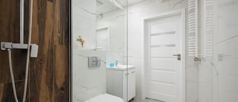 Dusche, Haartrockner, Handtücher