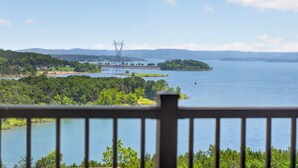 A lake with a power line structure, surrounded by greenery and distant hills. - Lakeview 3BR/3BA Condo • Top Floor • Free Tickets (Branson)